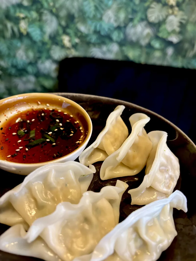 Gyoza mit Dip